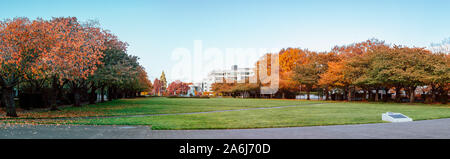 Salem, Oregon - 27 octobre 2019 : Scène de Oregon State Capitol State Park en automne Banque D'Images