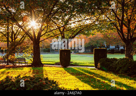 Salem, Oregon - 27 octobre 2019 : Scène de Oregon State Capitol State Park en automne Banque D'Images