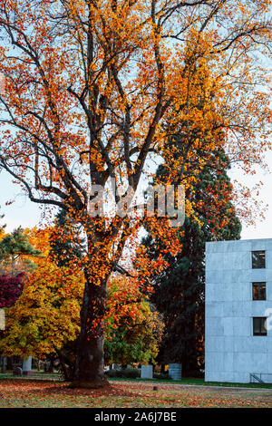 Salem, Oregon - 27 octobre 2019 : Scène de Oregon State Capitol State Park en automne Banque D'Images