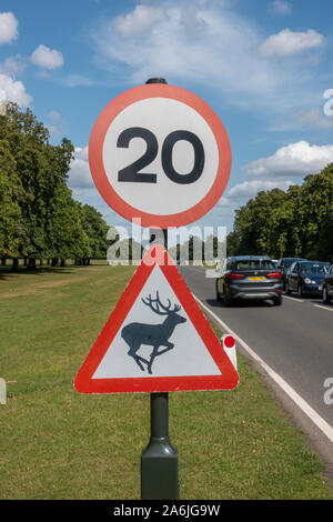Voitures qui passent d'une limite de vitesse de 20mph signe avec un panneau d'avertissement pour le cerf, Bushy Park, près de Kingston, au Royaume-Uni. Banque D'Images