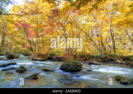 Voir la belle cascade dans gorge Oirase en automne, Tohoku, Aomori Banque D'Images