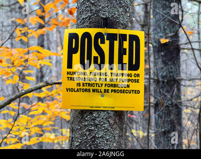 Posté signe sur tree in forest interdisant la chasse, la pêche ou le piégeage l'intrusion Banque D'Images