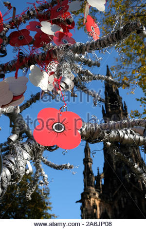 Edinburgh, Ecosse, Royaume-Uni. 27 Oct 2019. L'Ecosse, coquelicots pavot Appel suspendu à un arbre dans le jardin du souvenir dans les jardins de Princes Street en prévision de Dimanche du souvenir. Walter Scott monument visible. Credit : Craig Brown/Alamy Live News Banque D'Images