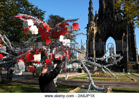 Edinburgh, Ecosse, Royaume-Uni. 27 Oct 2019. L'Écosse du pavot, coquelicots appel pendue à un arbre dans le jardin du souvenir dans les jardins de Princes Street en prévision de Dimanche du souvenir. Walter Scott monument visible. Credit : Craig Brown/Alamy Live News Banque D'Images