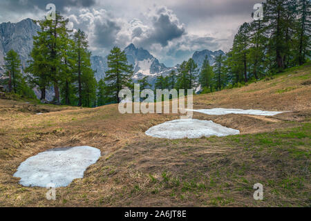 Alpine admirable paysage de printemps avec forêt de pins et de hautes montagnes enneigées, près de col Vrsic, Kranjska Gora, les Alpes Juliennes, en Slovénie, Europe Banque D'Images