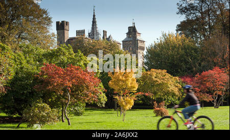 Park Cycle Ride Banque D'Images