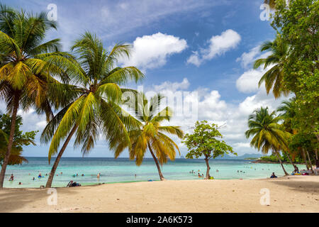 Anse Figuier, Martinique, France - 14 août 2019 - Anse Figuier Tropical Beach en Martinique Banque D'Images
