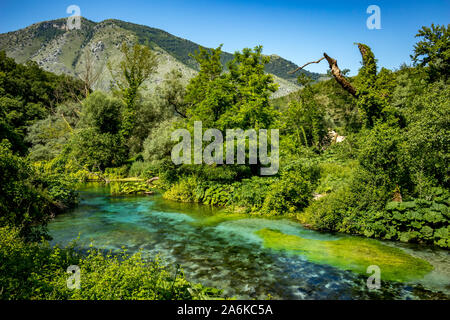 Clair comme de l'eau douce s'écoule à travers une forêt de printemps. Bistrice ou Bistrica river en Albanie près de Blue Eye source, merveille de la nature, belle nature fond vert de jeunes forêts de printemps Banque D'Images