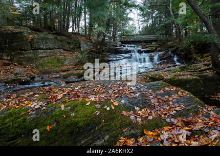 Potts tombe en automne, niché à Bracebridge (Ontario). Banque D'Images