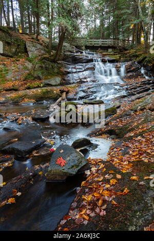 Potts tombe en automne, niché à Bracebridge (Ontario). Banque D'Images