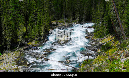 Rivière de montagne dans la région de taïga sibérienne. Fast Stream dans les forêts de conifères. La nature des montagnes de l'Altaï pour la randonnée et les voyages de l'eau Banque D'Images