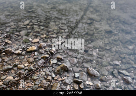 High Angle View of Pebbles In River Banque D'Images