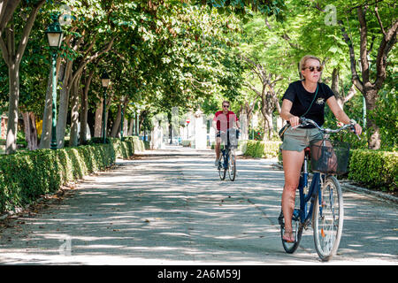 Valencia Espagne hispanique,Trinitat,Jardines del Real,Jardins del Reial,Viveros jardin Royal,parc public urbain,jardin,allée bordée d'arbres,femme,homme,couple Banque D'Images