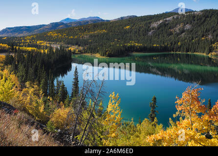 Emerald Lake au nord de Carcross, dans le Territoire du Yukon avec les arbres montrant couleurs d'automne Banque D'Images