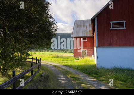 Faire Falured en Norvège Banque D'Images
