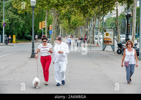 Barcelone Espagne,Catalogne Catalunya,les Corts,Avinguda Diagonal,promenade,trottoir,homme hommes adultes,femme femme femme femme adulte,coup d'Etat Banque D'Images