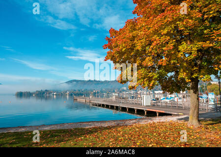 Vue panoramique sur le Traunsee à Gmunden, Autriche, OÖ, sur une belle journée à l'automne, avec un arbre de couleur orange à l'avant-plan Banque D'Images