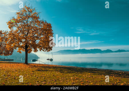 Vue en contre-jour des bateaux ancrés au Traunsee à Gmunden, en Autriche avec l'OÖ, Grünberg et l'augmentation de Traunstein en arrière-plan Banque D'Images