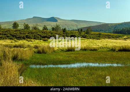 La vue de Pen y Fan et Corn du de Mynydd Illtyd Common dans les Brecon Beacons South Wales. Tourné au début de l'automne en septembre. Banque D'Images