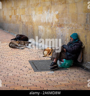 Bogota, Cundinamarca / Colombie - 8 août 2019 : Sans-abri froid homme assis dans le trottoir avec trois chiens se reposant Banque D'Images