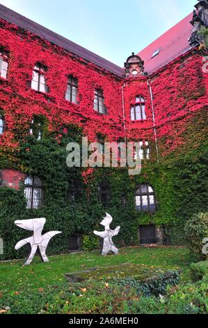 Musée National de Wroclaw, Basse Silésie. La Pologne. Tous couverts de lierre coloré d'automne. Banque D'Images