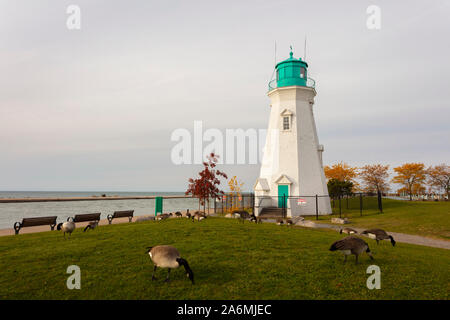 St.Catherines, Ontario, Canada - le 26 octobre 2019 : Port Dalhousie de St.Catherines en automne avec des oies. Banque D'Images