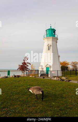 St.Catherines, Ontario, Canada - le 26 octobre 2019 : Port Dalhousie de St.Catherines en automne avec des oies. Banque D'Images