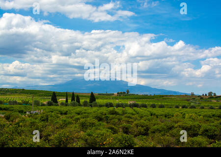 Paysage avec des plantations d'orangers et de citronniers et vue sur le mont Etna, en Sicile, de l'agriculture dans le sud de l'Italie Banque D'Images