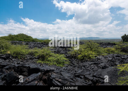 Champ de lave pahoehoe sur Hawai'i Banque D'Images