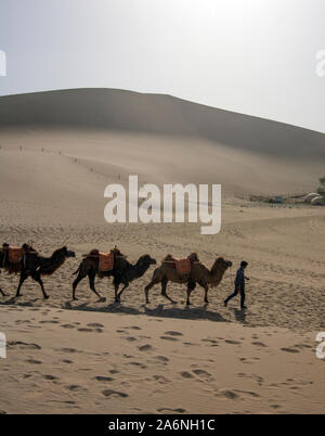 Passage de la caravane dunes dans le désert de Gobi, Nanjing, Chine Banque D'Images