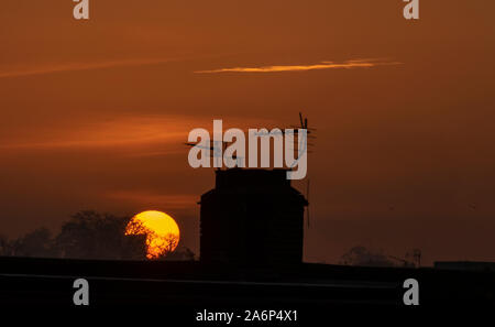 Wimbledon, Londres, Royaume-Uni. 28 octobre 2019. Sunrise Orange en ciel clair derrière toits dans le sud de Londres, après la première nuit d'automne local frost de 2019. Credit : Malcolm Park/Alamy Live News. Banque D'Images