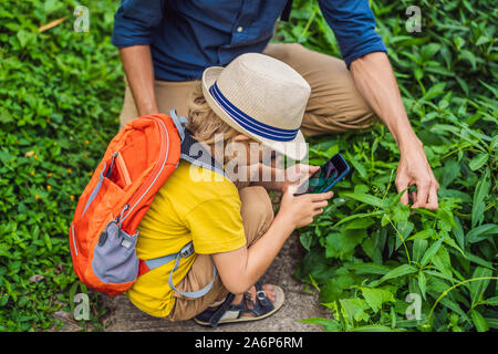 Père et fils identifier des plantes à l'aide de l'application sur un smartphone. Réalité augmentée Banque D'Images