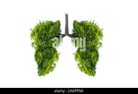 L'arbre vert en forme de poumon-images, des concepts médicaux, l'autopsie, affichage 3D et les animaux comme un élément Banque D'Images