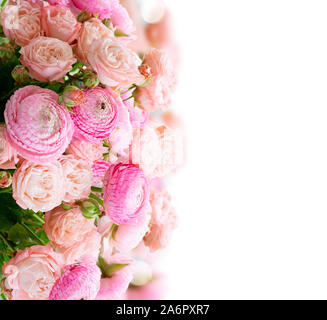Fleurs roses frais Banque D'Images