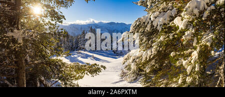 Hiver vue panoramique sur la montagne de Faraut-Cros. Champsaur, Hautes-Alpes, Alpes, France Banque D'Images