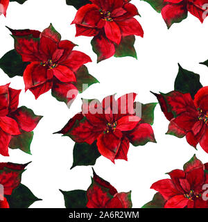 Modèle intégré de poinsettia sur fond blanc comme décoration de Noël Banque D'Images