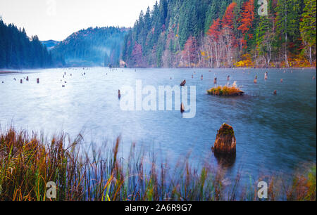 Matin d'automne sur le lac rouge ou rouge lac situé dans la région de Harghita, Roumanie Banque D'Images