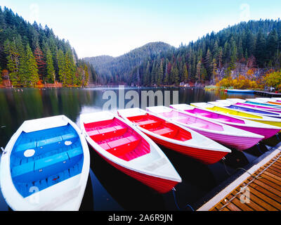 Matin sur le lac rouge ou rouge Lac située dans la région Harghita, Roumanie, Europe Banque D'Images