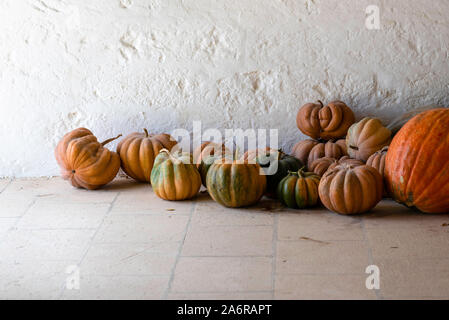 Variété de citrouilles, courges comestibles pour la cuisson et la courge Halloween Banque D'Images