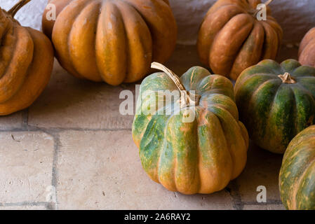 Variété de citrouilles, courges comestibles pour la cuisson et la courge Halloween Banque D'Images