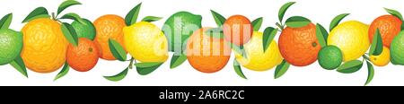Vector seamless horizontale garland avec divers agrumes et de feuilles vertes. Illustration de Vecteur