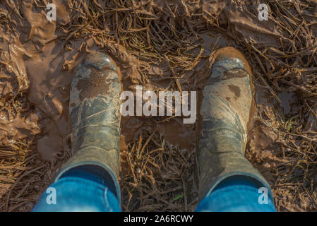 Vue de dessus de bottes boueuses dans le champ d'une ferme en Ecosse Banque D'Images