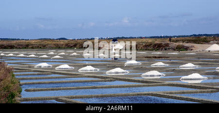 Photos de mariage dans le Salt Pond Banque D'Images