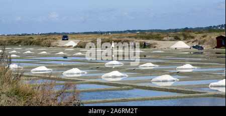 Photos de mariage dans le Salt Pond Banque D'Images