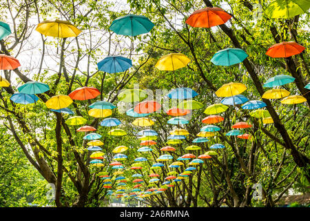 De nombreux parasols colorés sur les arbres suspendus dans le Zoo de Shenzhen, Chine Banque D'Images