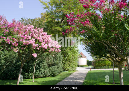 Jardin Chateau de Beaulon Banque D'Images