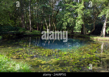 Chateau de Beaulon jardin, printemps bleu naturel Banque D'Images