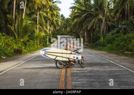 Man riding moto avec planches à coconut palms route philippine Banque D'Images