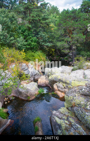 River Lozoya. Le Parc National de la Sierra de Guadarrama, province de Madrid, Espagne. Banque D'Images