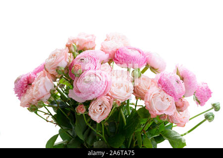 Fleurs roses frais Banque D'Images